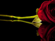 MissC 210601 2305 Dildo 2